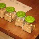 FiVo "Schöpfungsverantwortung"